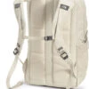 The North Face Jester - Womens 1 The North Face Jester - Womens -Dakine Central 1171725NF0A3VXG 151 back