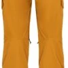 686 Smarty Cargo Snowboard Pant - Womens 2022 -Dakine Central 6250729M1W405 GOLDENBROWN 3 1
