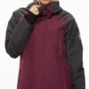 686 GORE-TEX Whitney Insulated Snowboard Jacket 2021 1 686 GORE-TEX Whitney Insulated Snowboard Jacket 2021 -Dakine Central 7290682WMS GLCR GORE WHITNEY INSL JKT PLM 4321