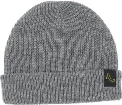 Autumn Simple Beanie 2021