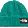 The North Face Salty Dog Beanie -Dakine Central max 124758 NF0A3FJW 6R7 hero
