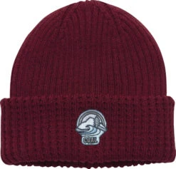 Coal The Shuksan Beanie 2020