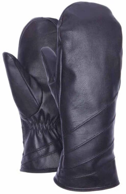 Celtek Domo MItten 2017