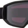Anon Relapse Goggles + Bonus Lens -Dakine Central max 18539103003 1